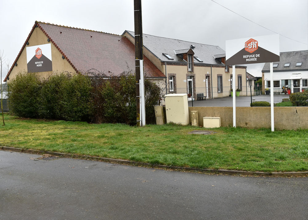 La Société Protectrice des Animaux (SPA) - Refuge de Morée