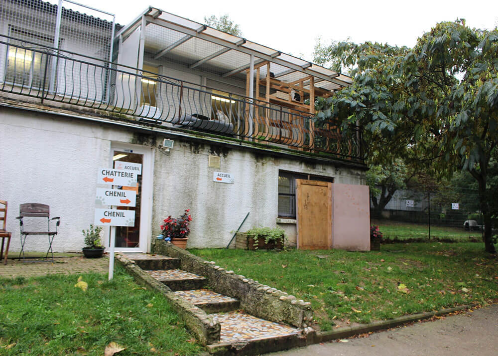 La Société Protectrice des Animaux (SPA) - Refuge de Lyon-Marennes