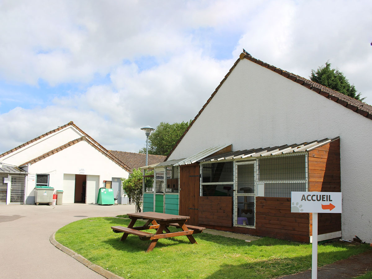 La SPA - Refuge de Saint-Omer