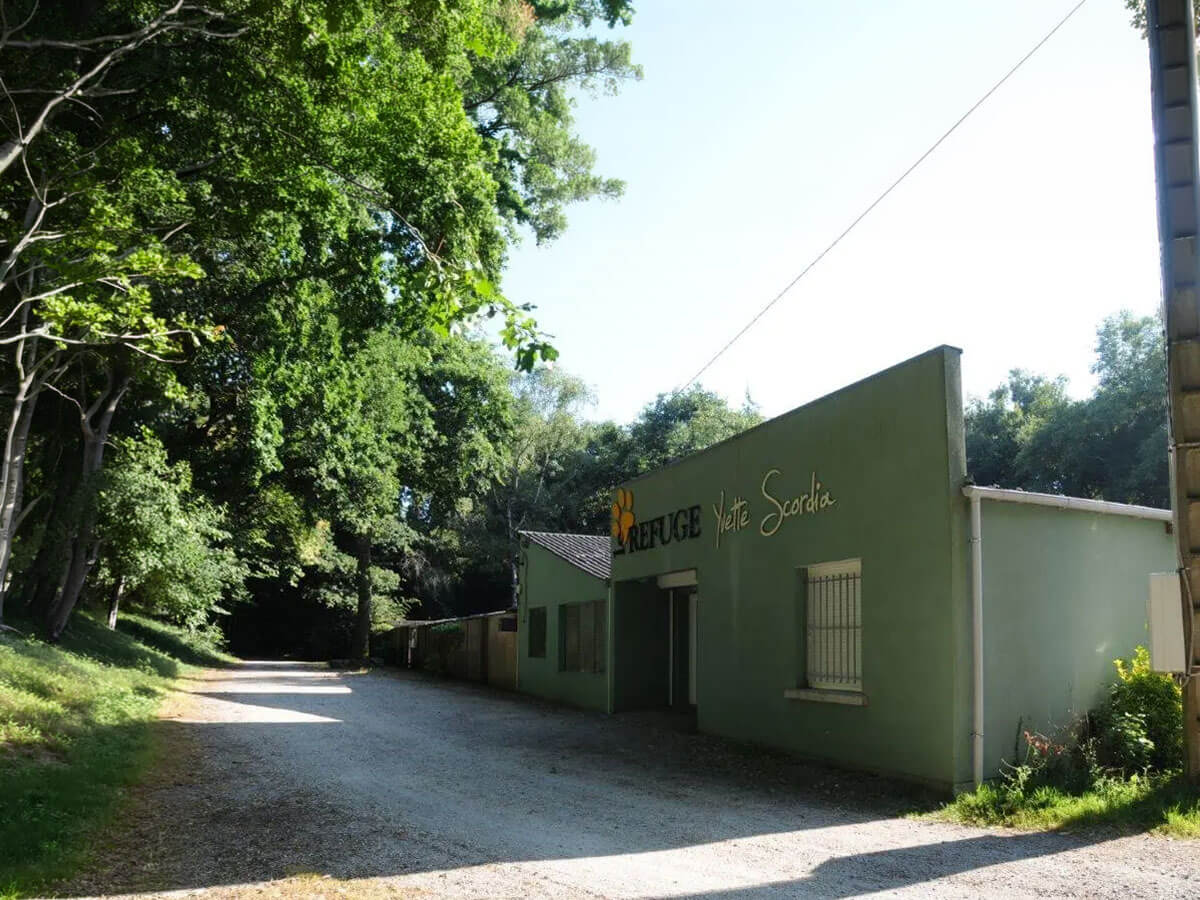 La Société Protectrice des Animaux (SPA) - refuge d'Inzinzac