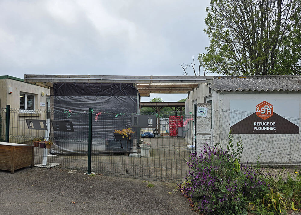 La Société Protectrice des Animaux (SPA) - Refuge de Plouhinec