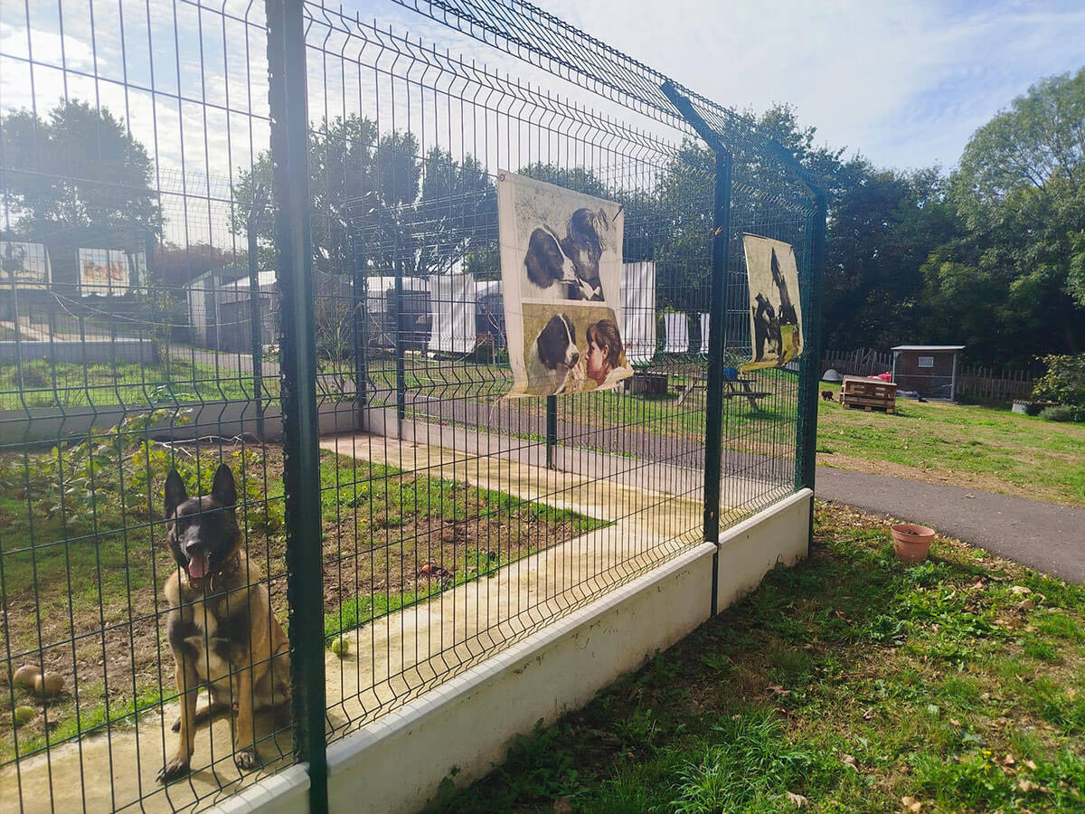 La Société Protectrice des Animaux (SPA) - Refuge de Plouhinec