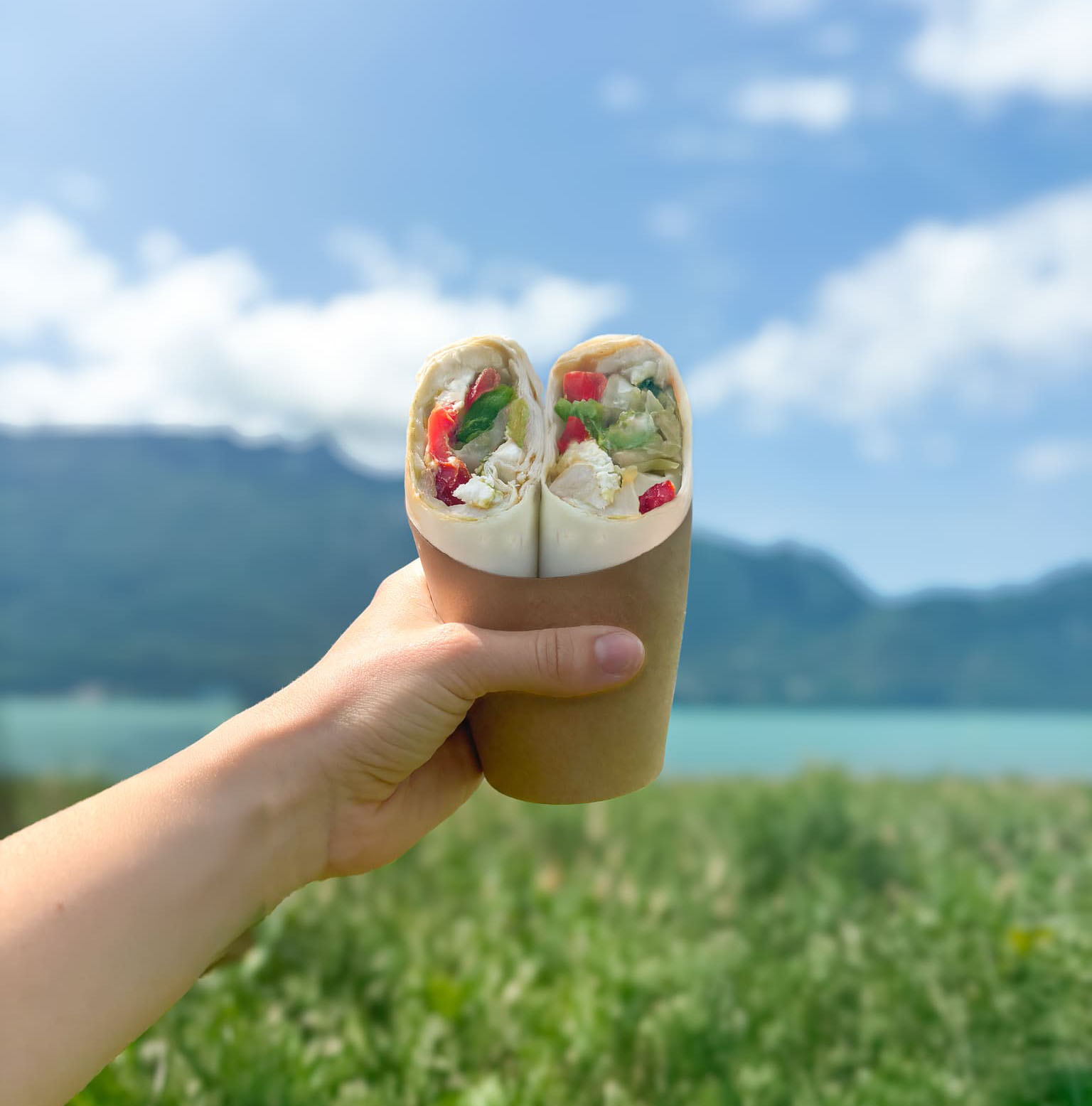 La Panière - Chamonix Centre