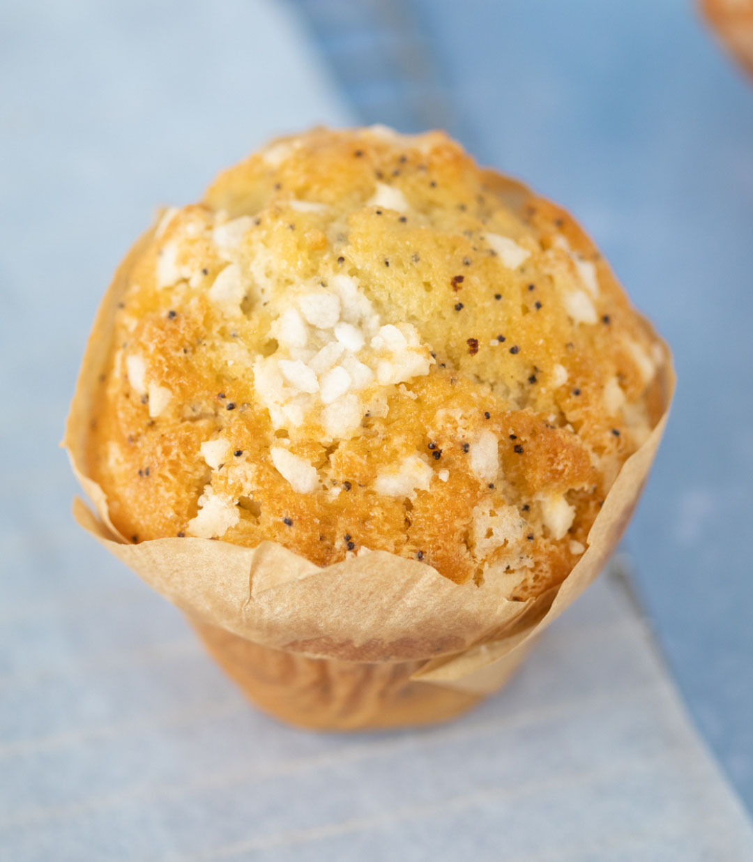 La Panière Franklin - Aix-les-Bains