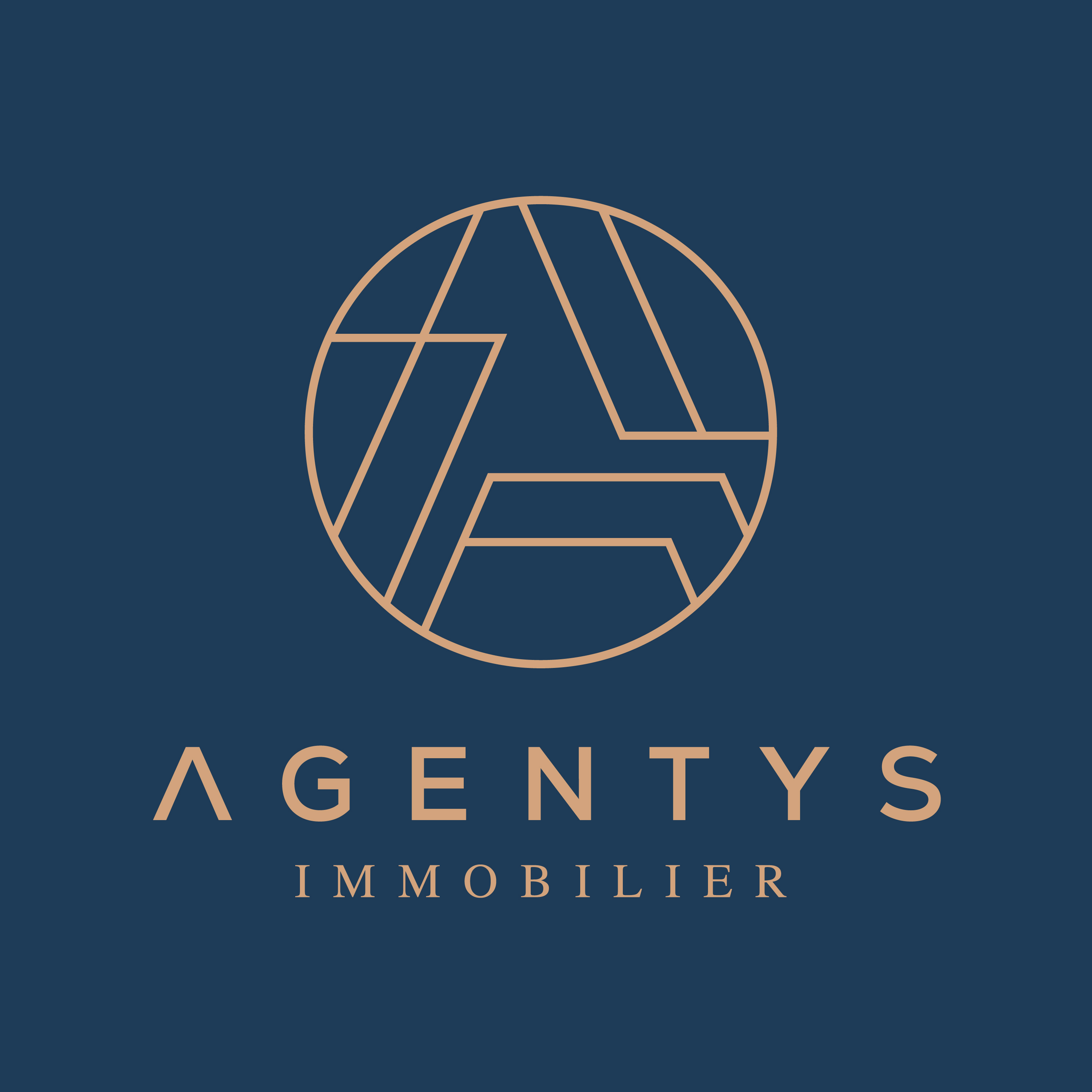 Foto 20 di AGENTYS CHAMPIGNY