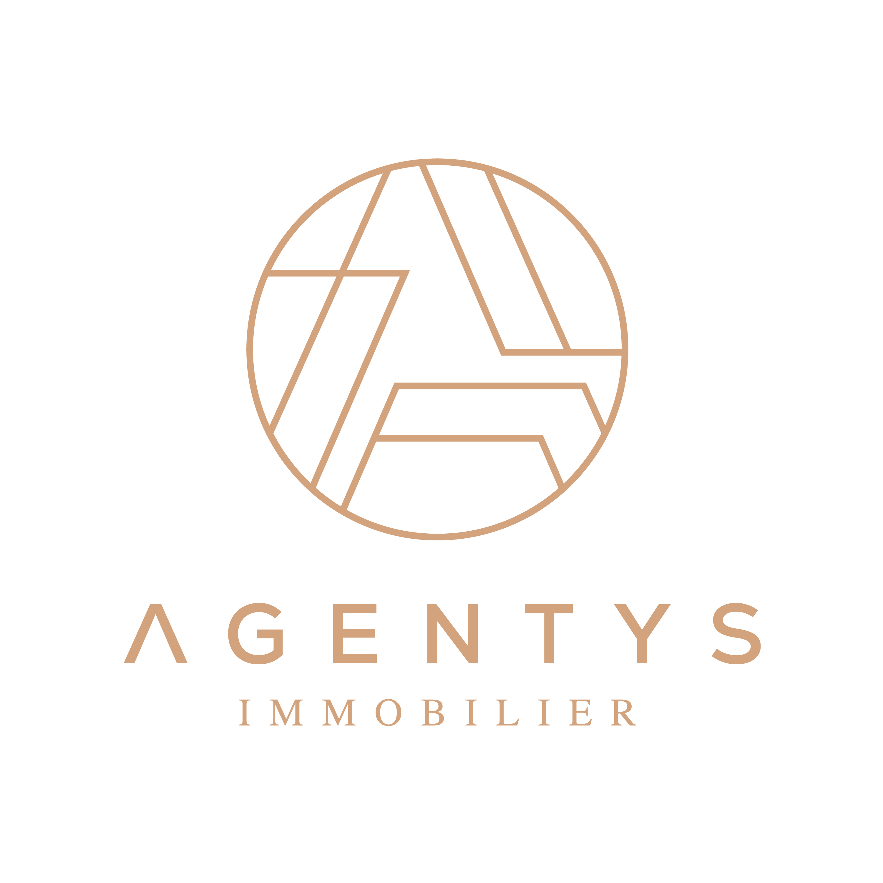 Foto 18 di AGENTYS CHAMPIGNY