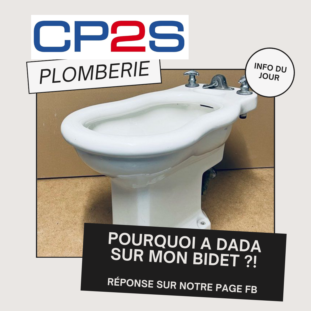 Foto 73 di CP2S