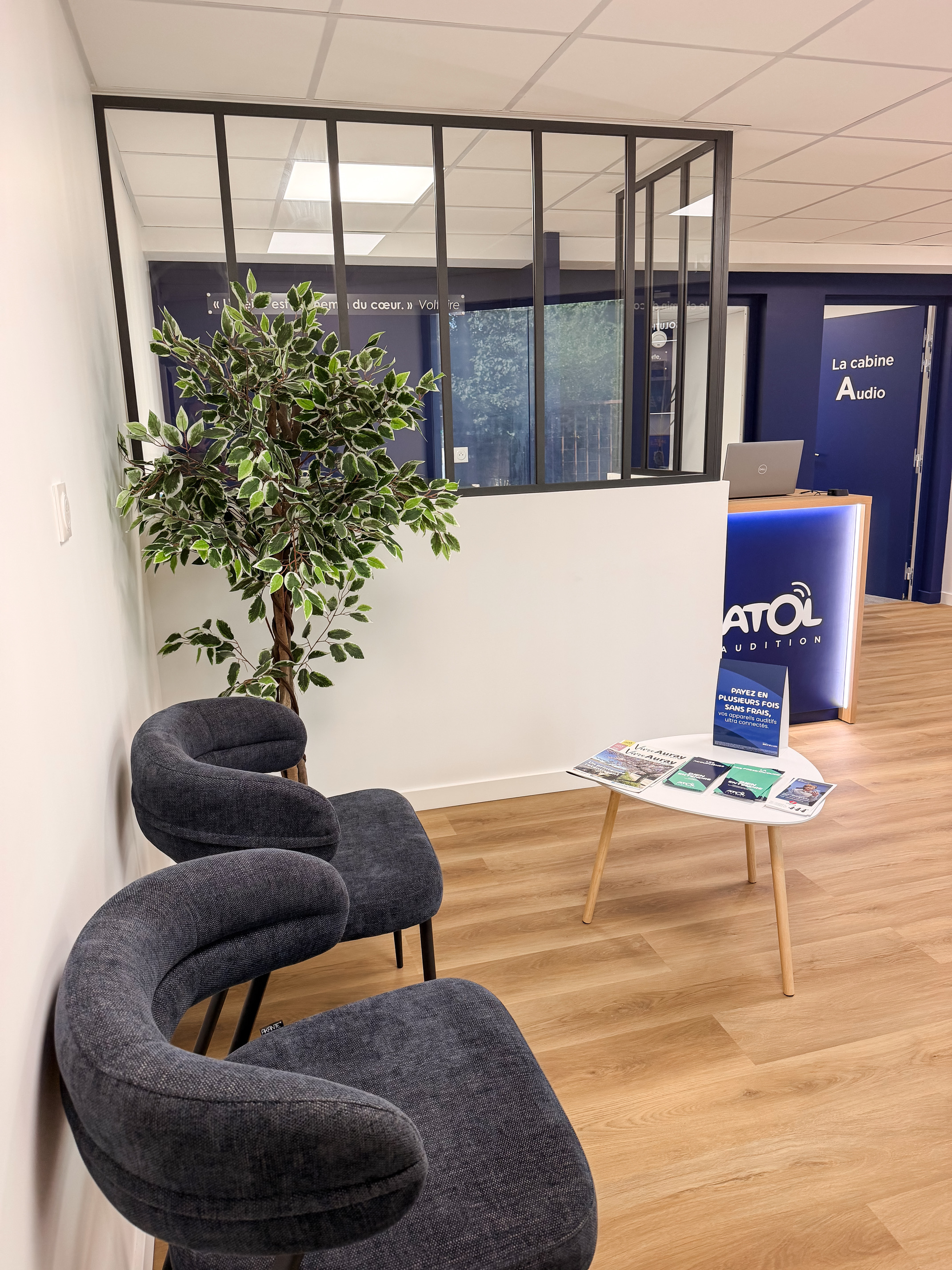 Foto 4 di Atol Audition