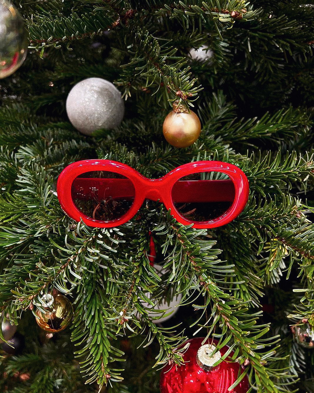 Foto 171 di Edgard Opticiens - Angers