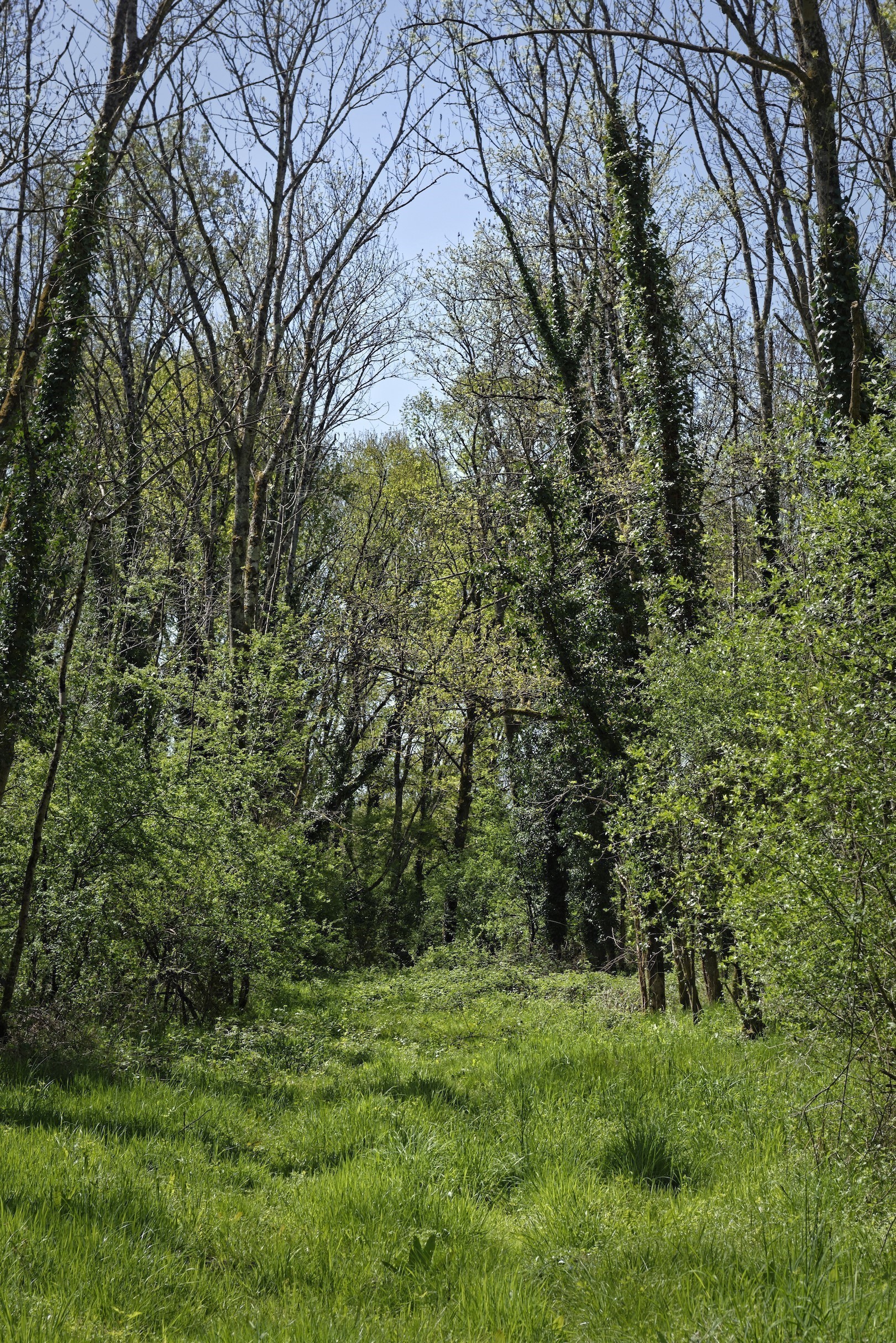 Foto 4 di Bec de Dore