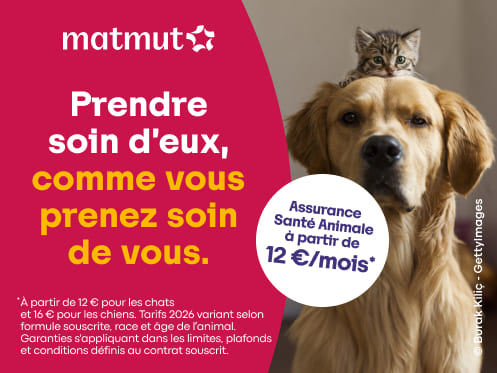 Foto 15 di Matmut