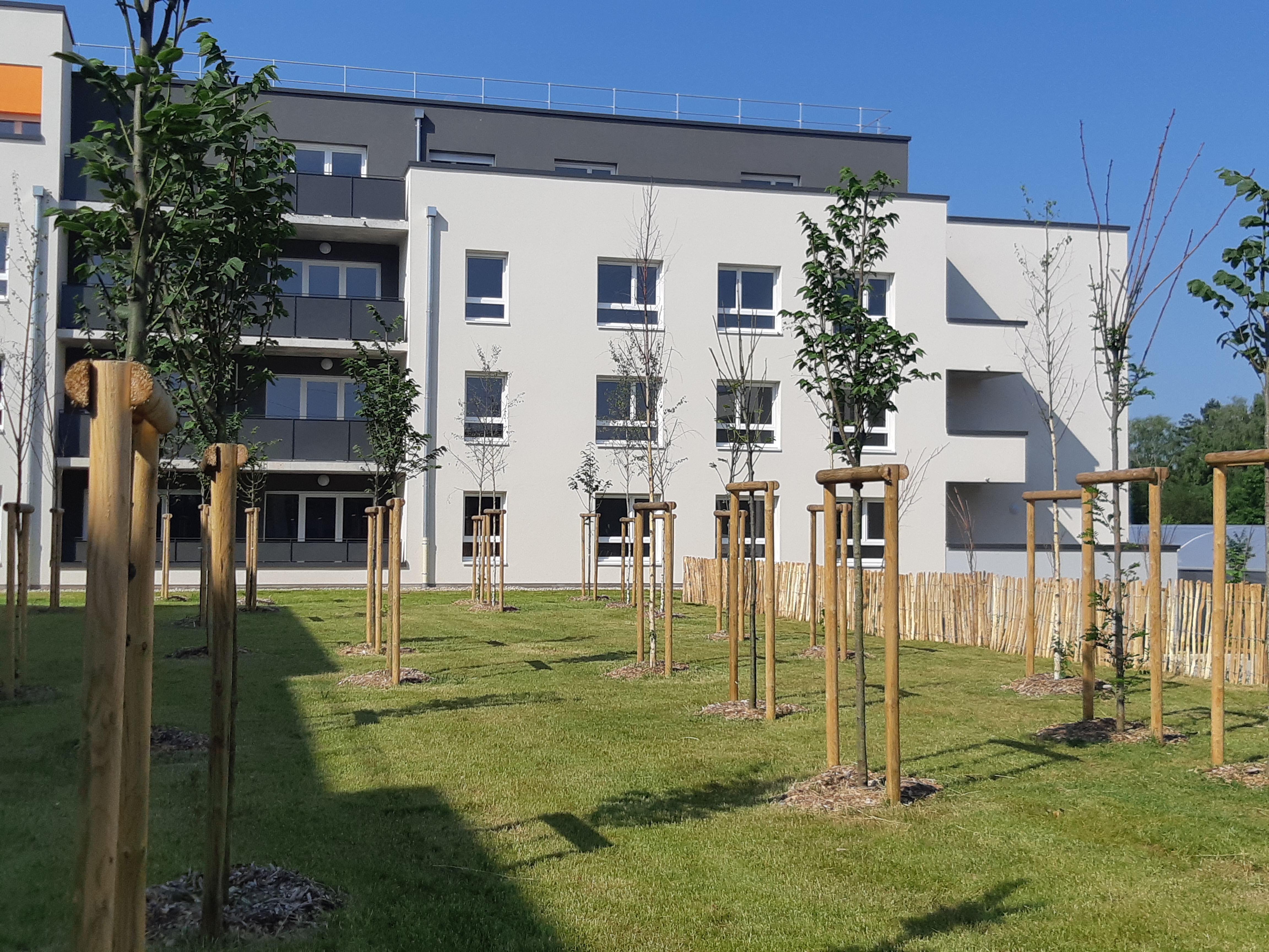 Foto 2 di 3F Grand Est