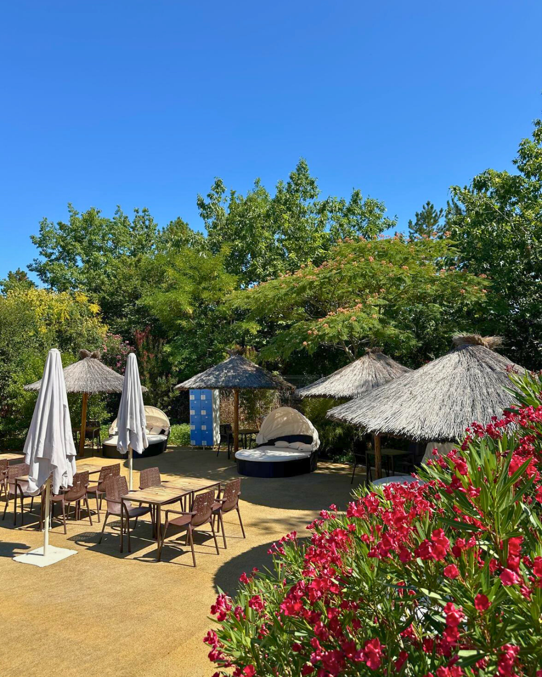 Parc Aquatique Agen - Walygator Sud-Ouest | Lot-et-Garonne (47)