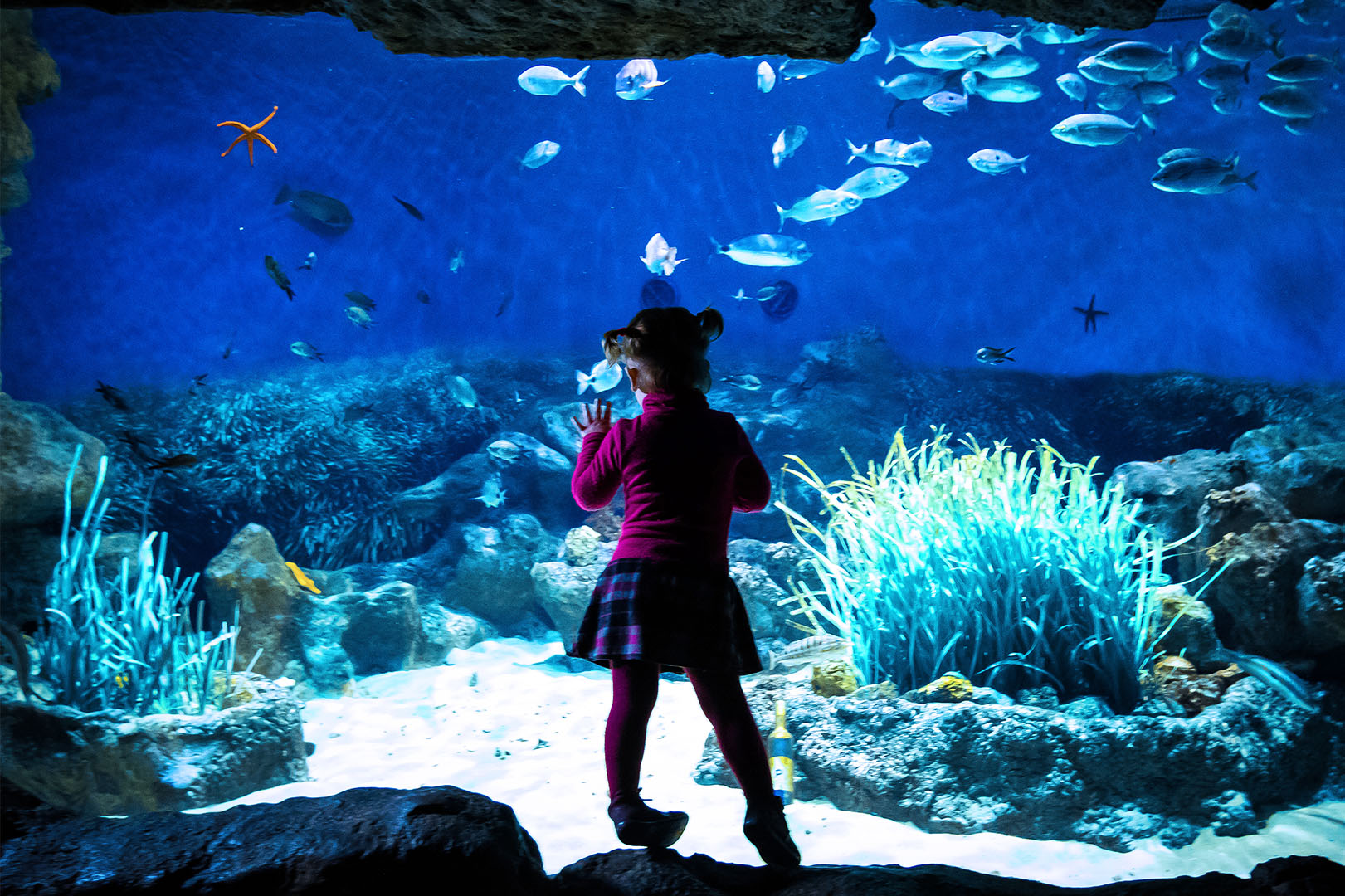 Planet Ocean Montpellier