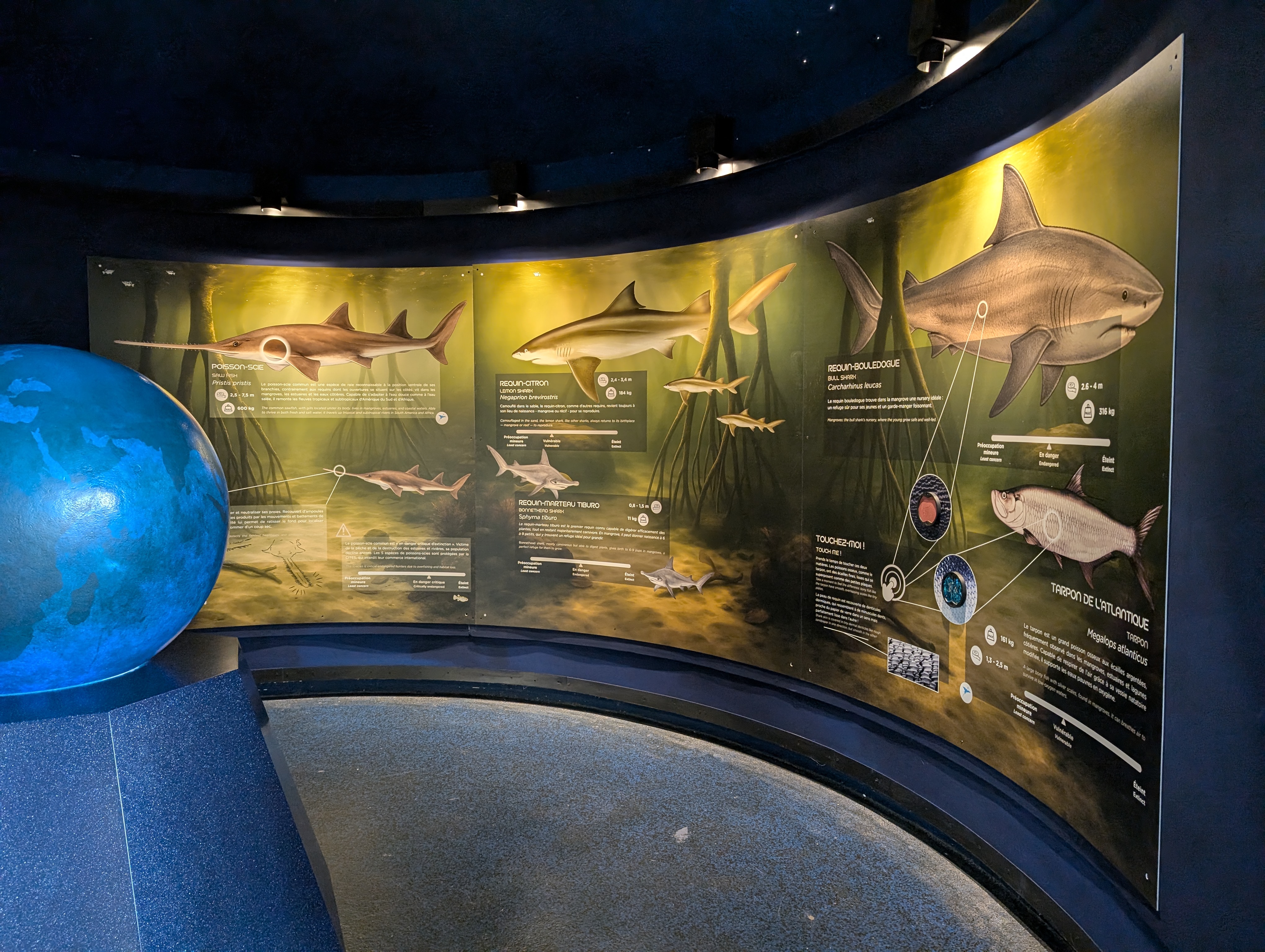 Planet Ocean Montpellier