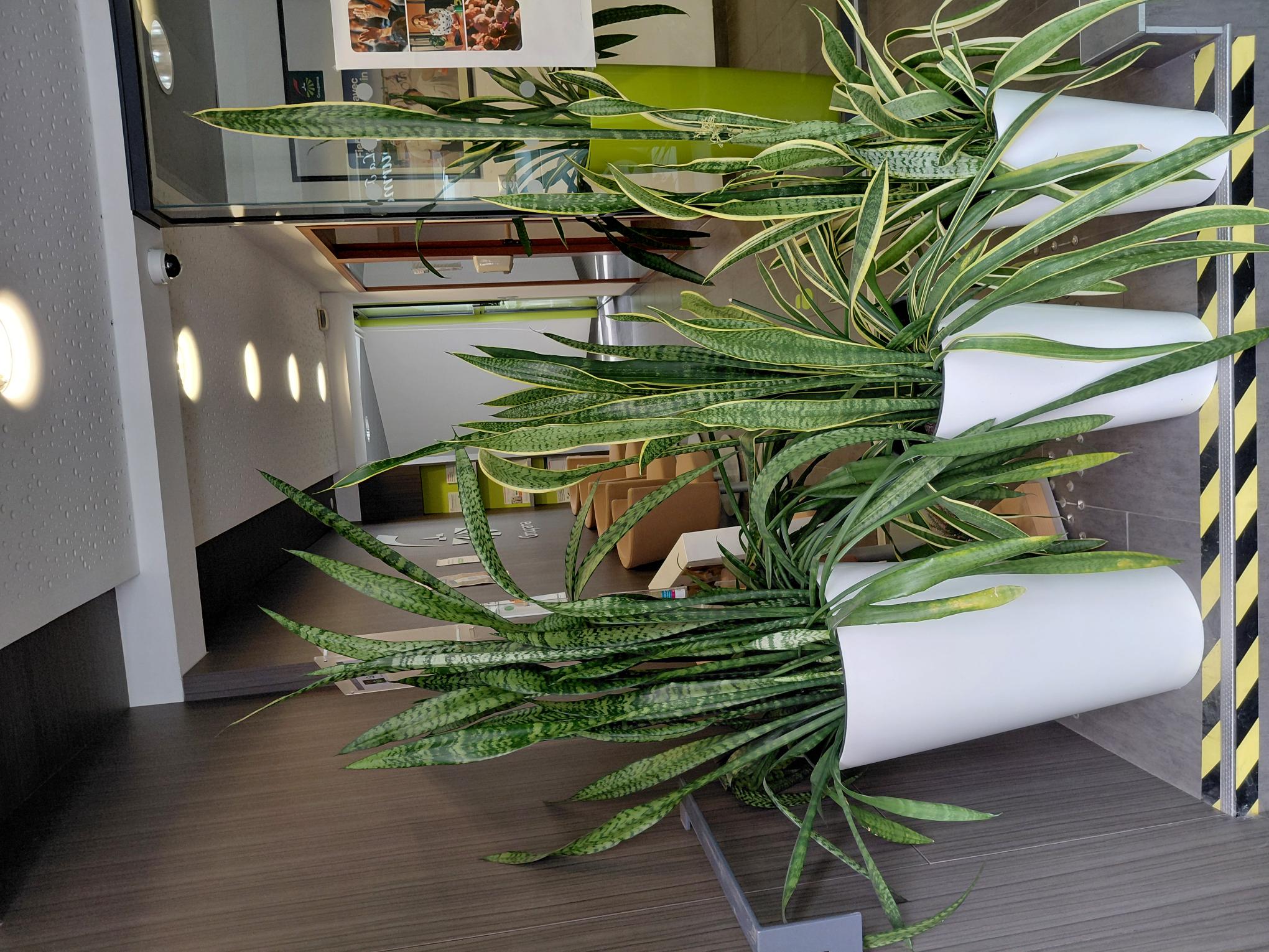 Foto 6 di Agence Groupama Auray