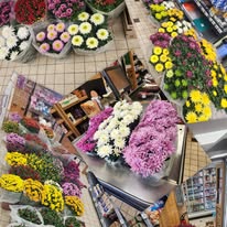 Foto 10 di Sherpa Supermarché Châtel