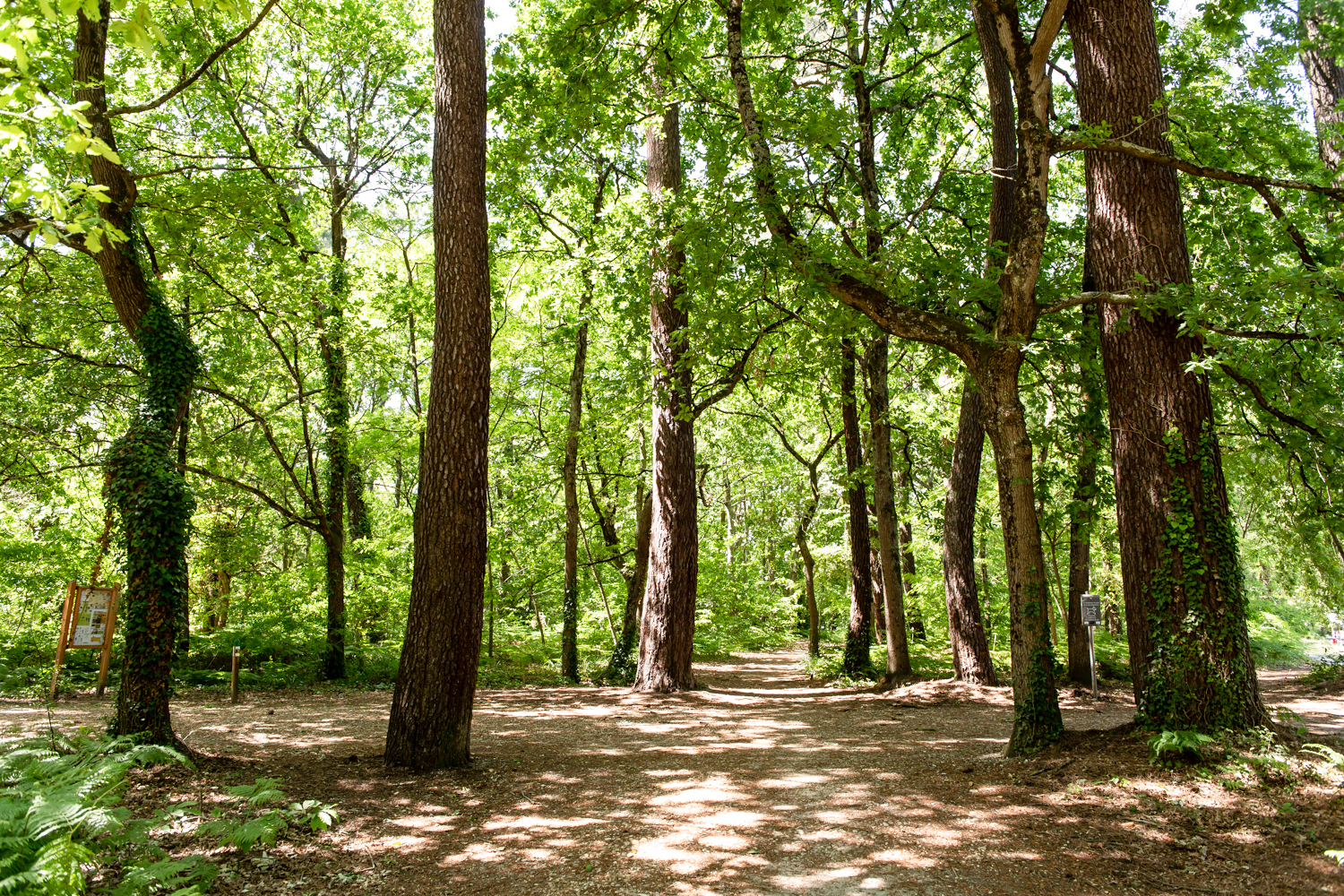 Foto 1 di Parc du Château