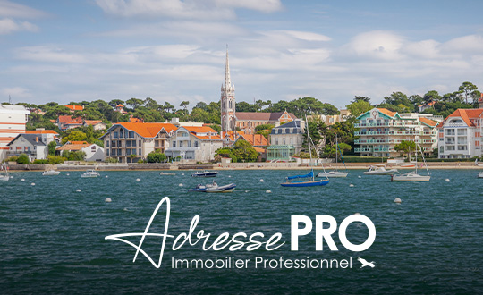 Foto 1 di AdressePRO Arcachon