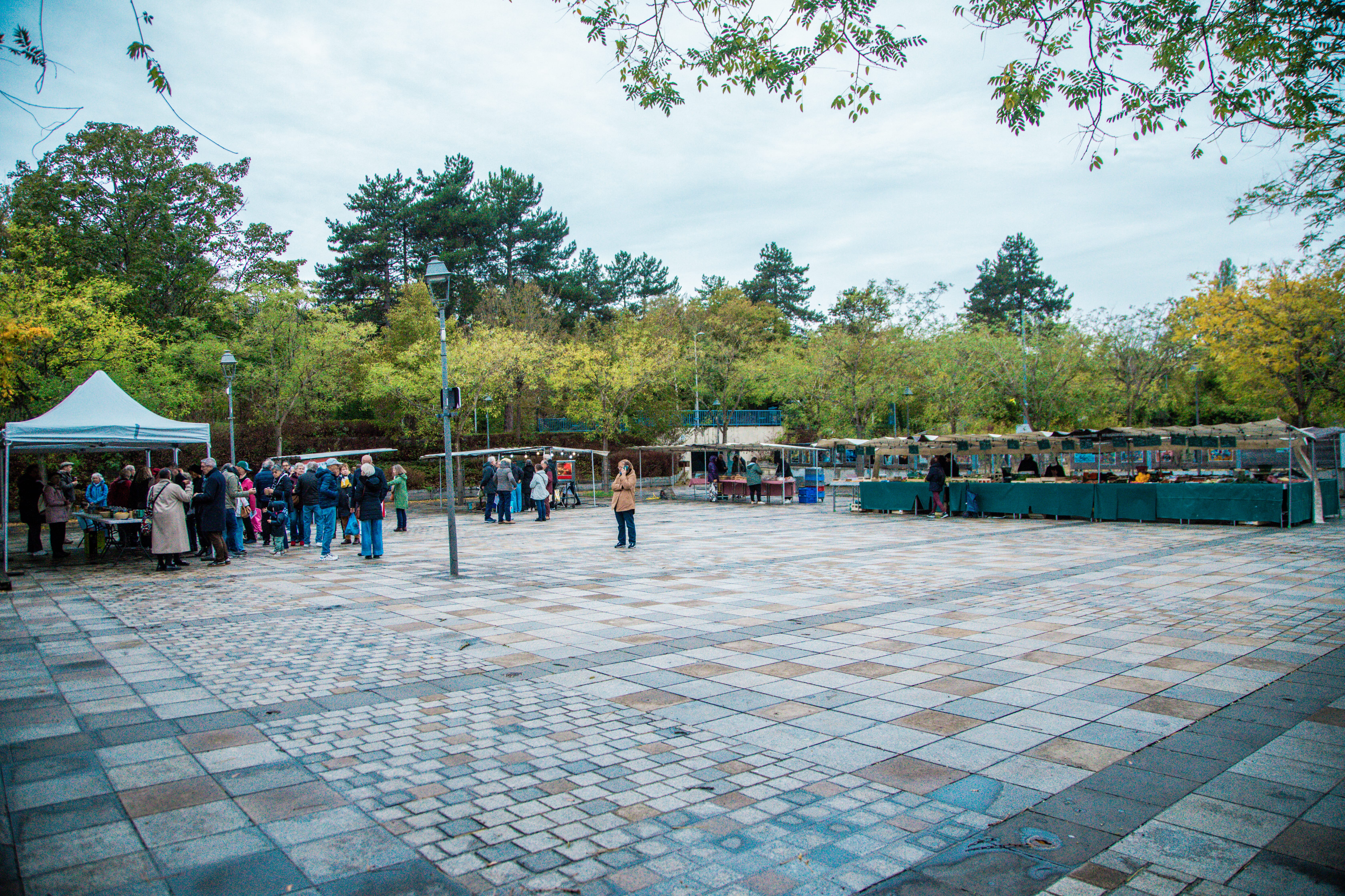 Foto 4 di Marché de Thorigny