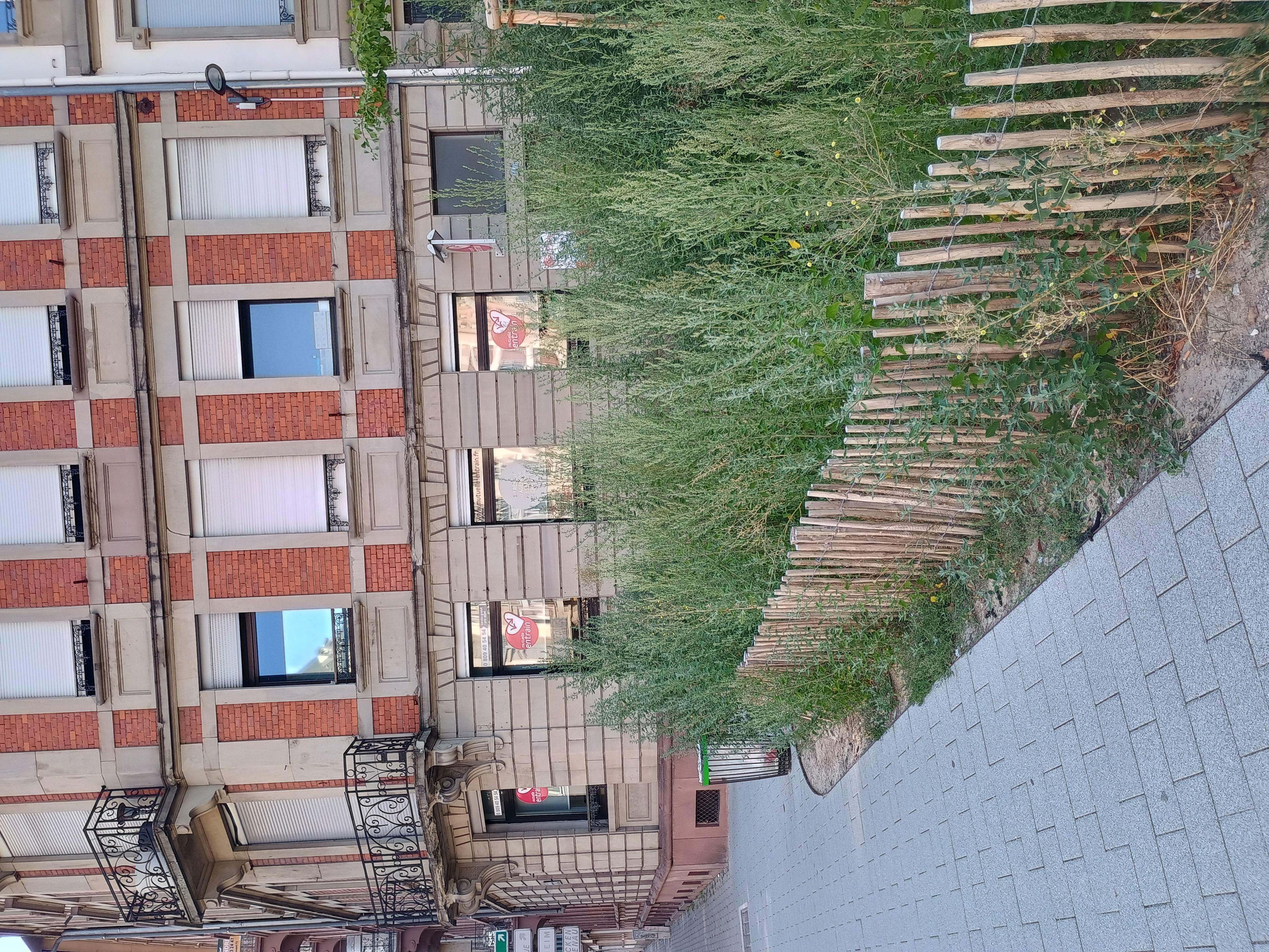 Foto 7 di Mutuelle Entrain Strasbourg