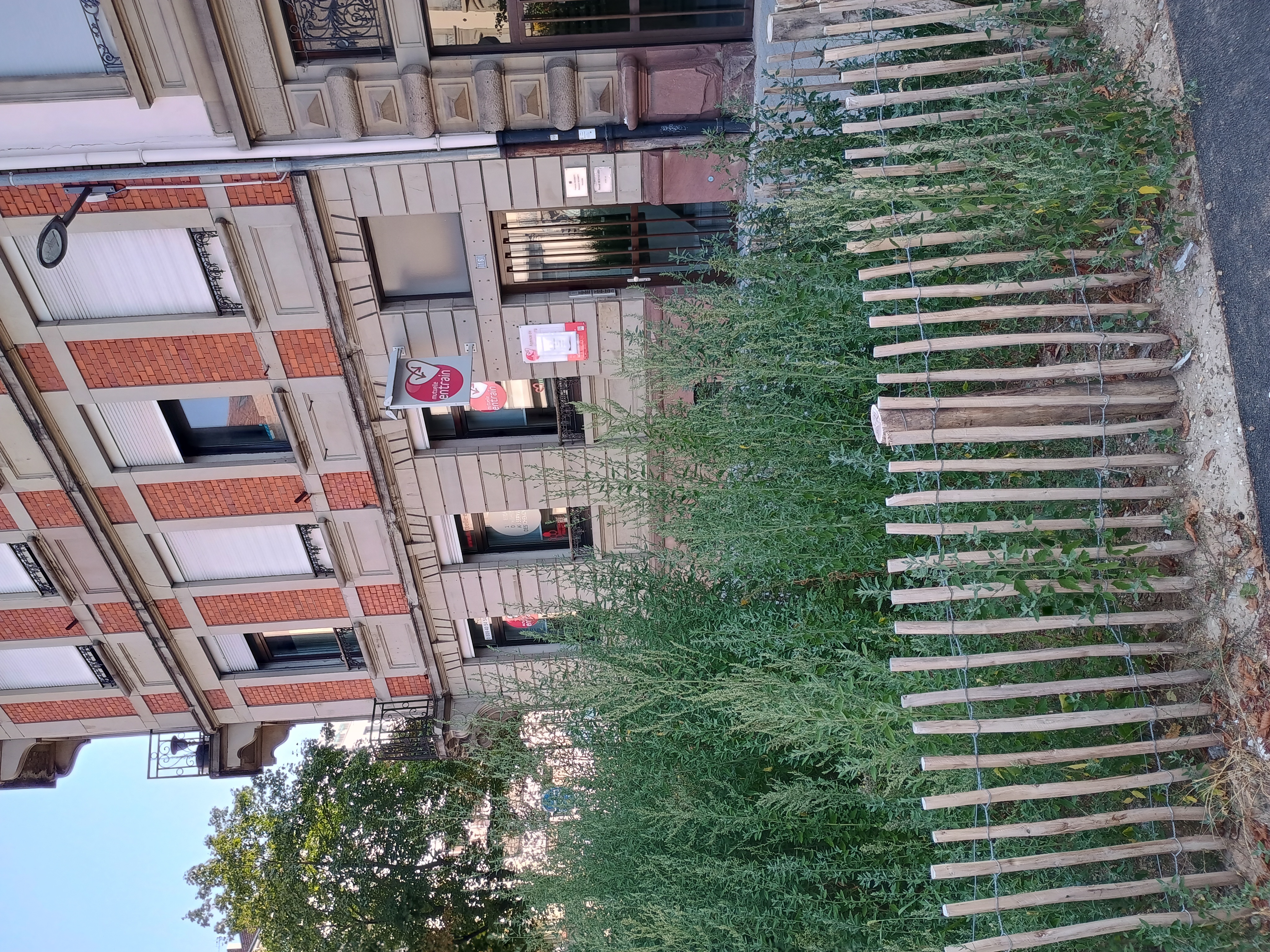 Foto 8 di Mutuelle Entrain Strasbourg