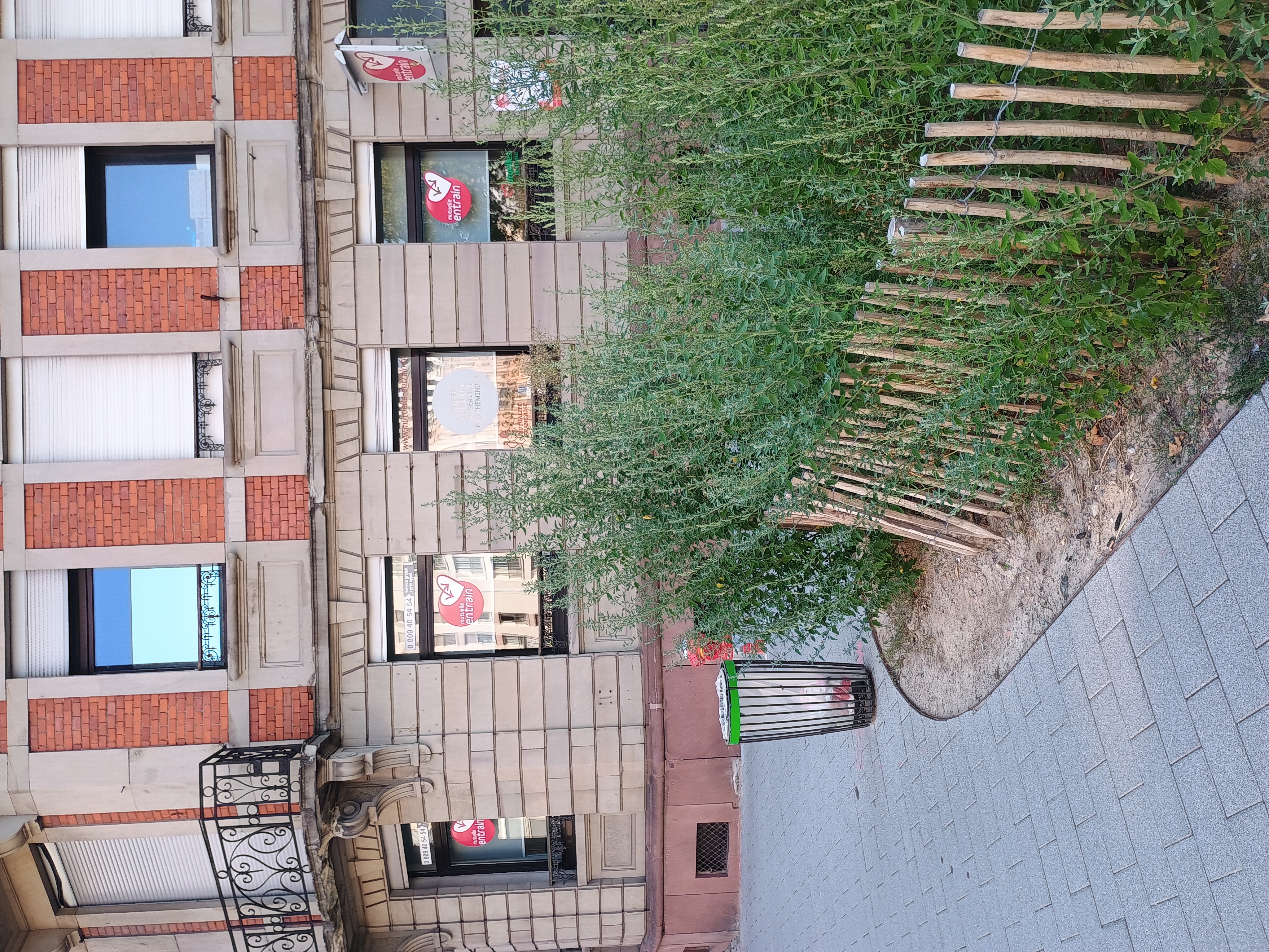Foto 10 di Mutuelle Entrain Strasbourg