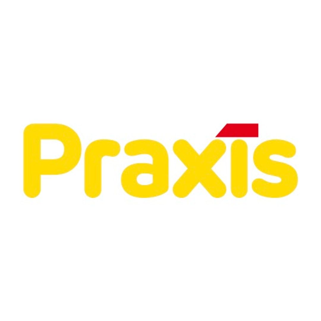 Photo 2 de Praxis Bouwmarkt Dronten