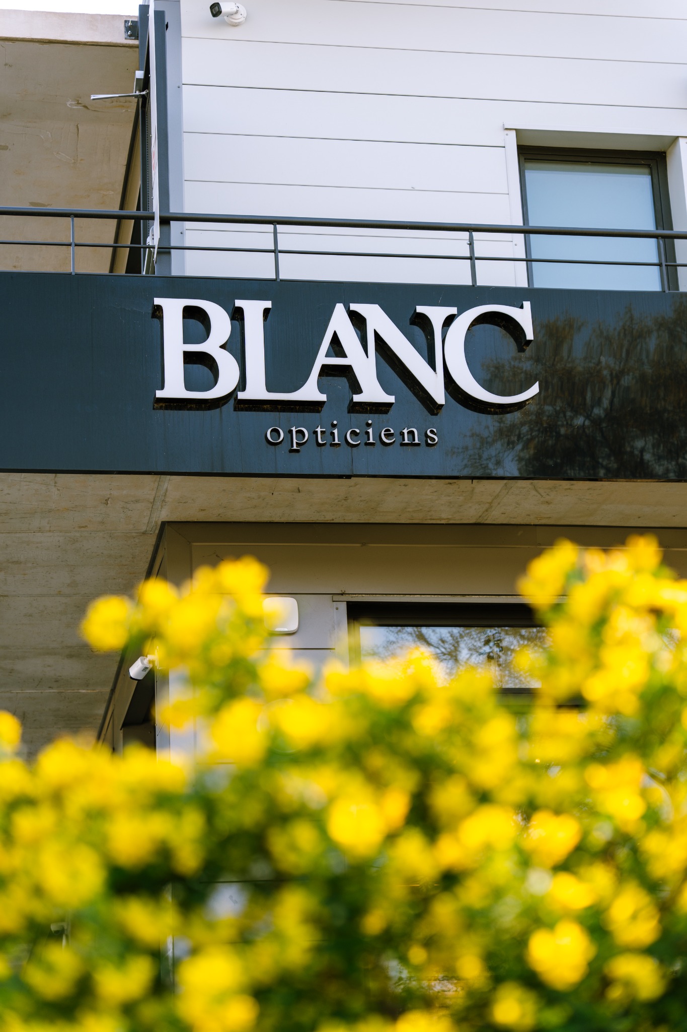 Foto 9 di Blanc Opticiens - Lançon-Provence