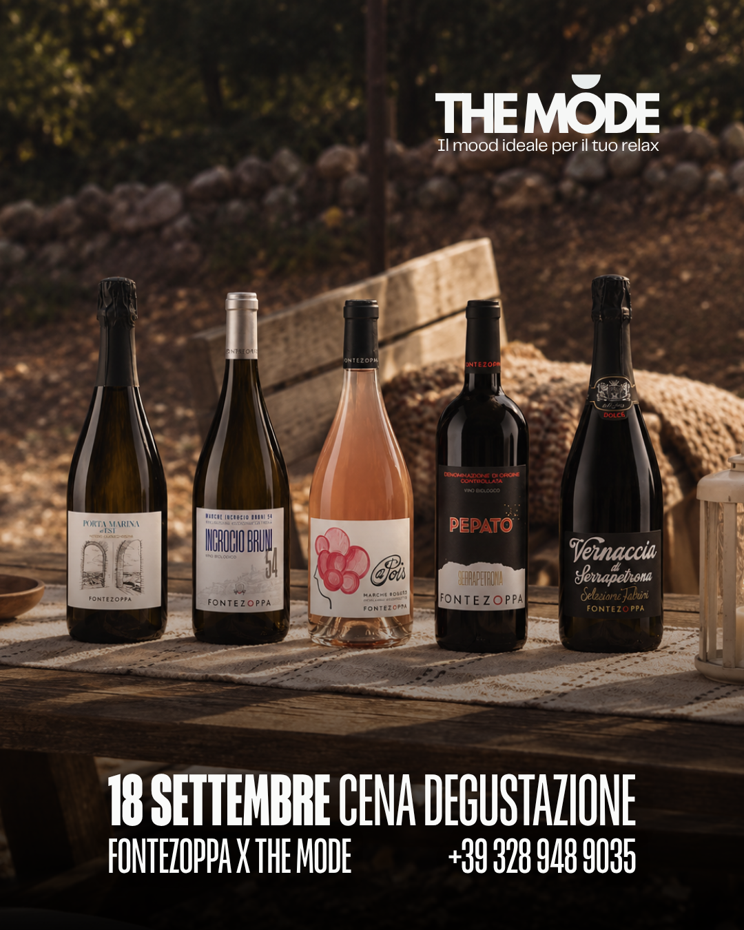 Foto 15 di The Mode