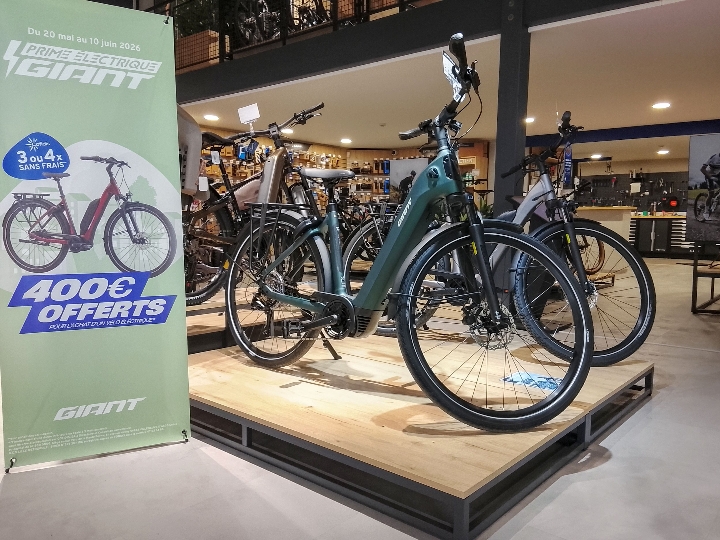 Foto 10 di Giant Lille Capinghem