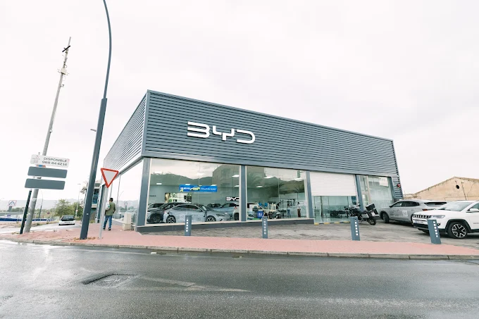 Foto 1 di BYD Lorca