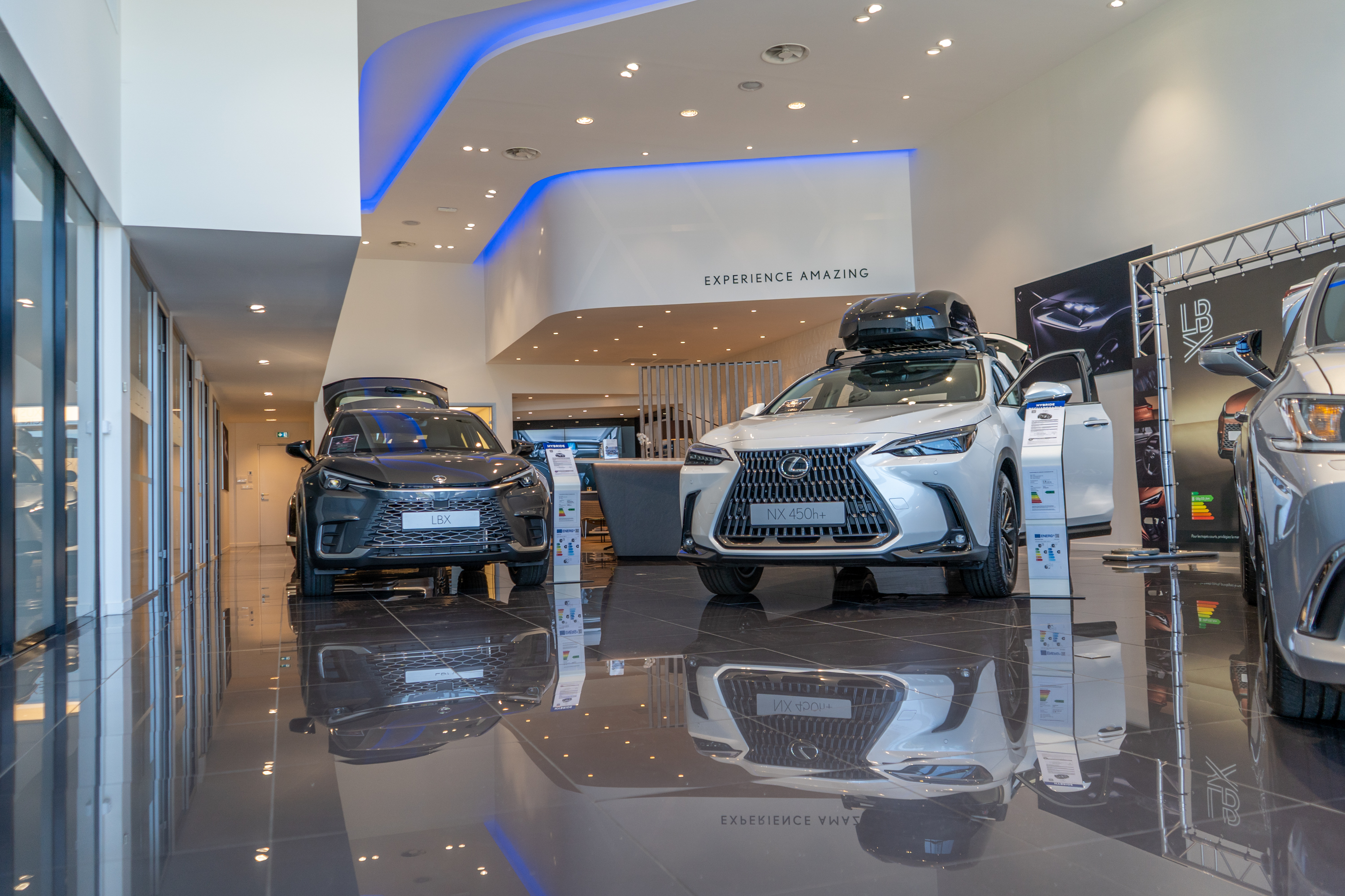 Foto 6 di Lexus Lorient- Cobredia