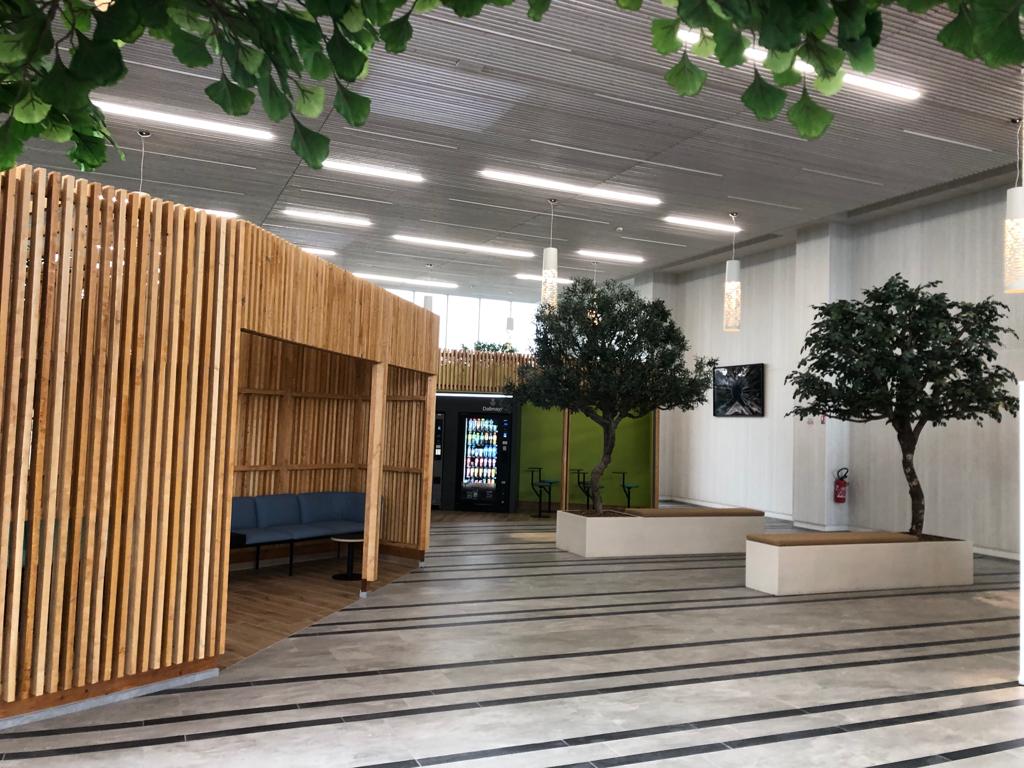 Foto 3 di ICONE