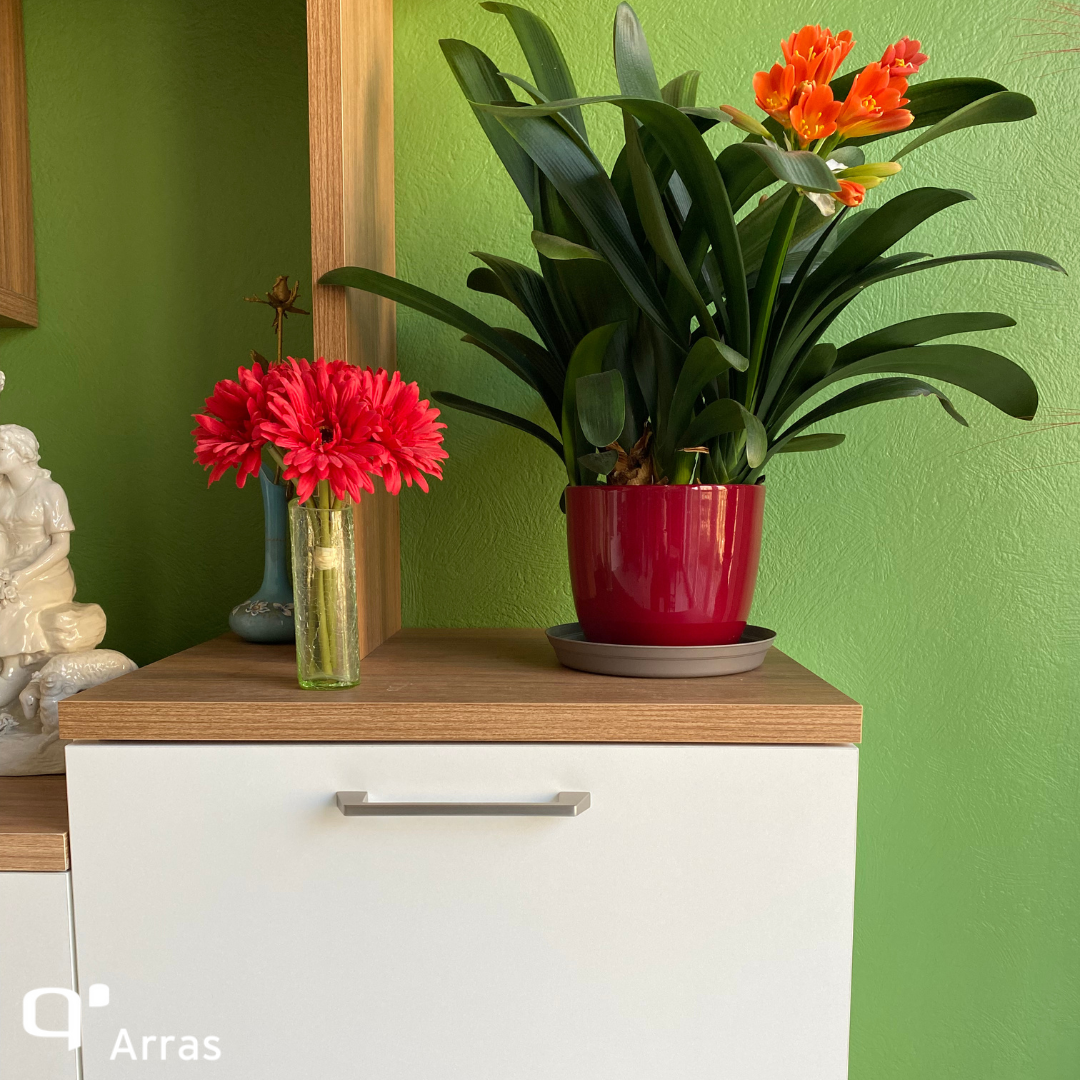 Foto 183 di Quadro Intérieurs sur-mesure