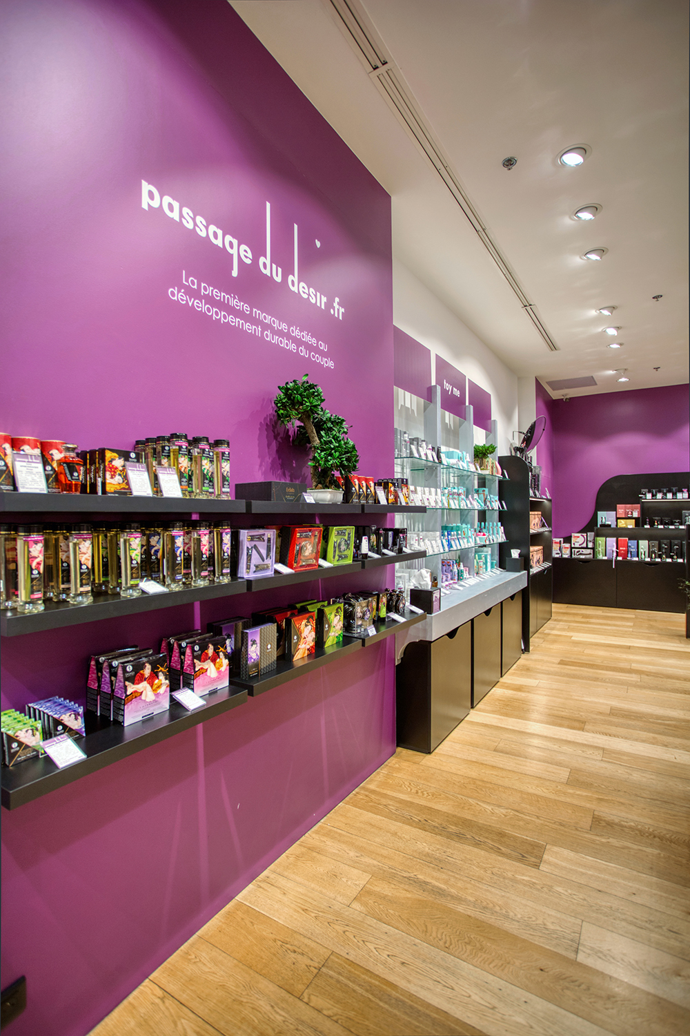 Passage du Désir, l'anti sex shop