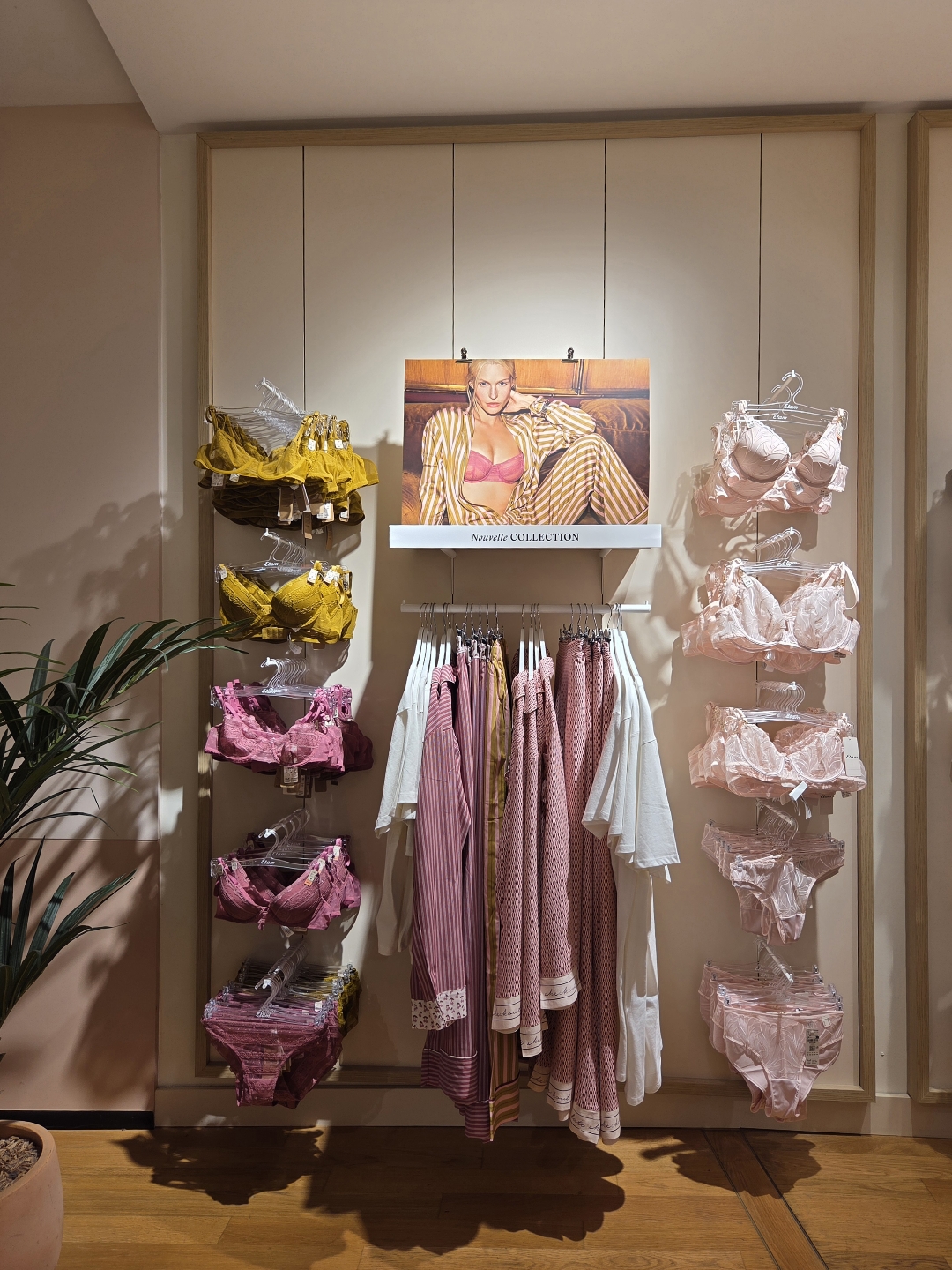 Foto 9 di Etam Lingerie