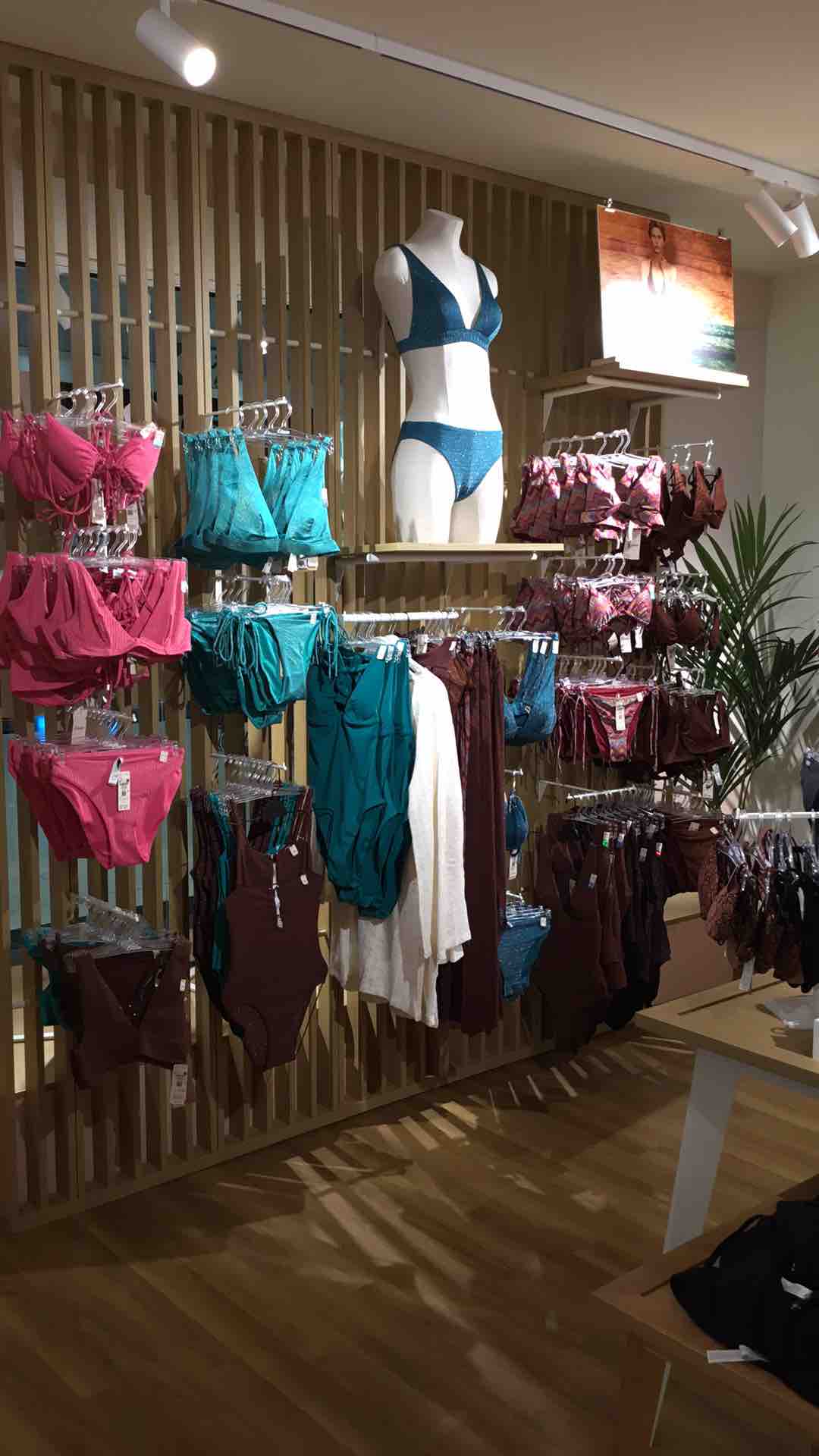 Foto 19 di Etam Lingerie