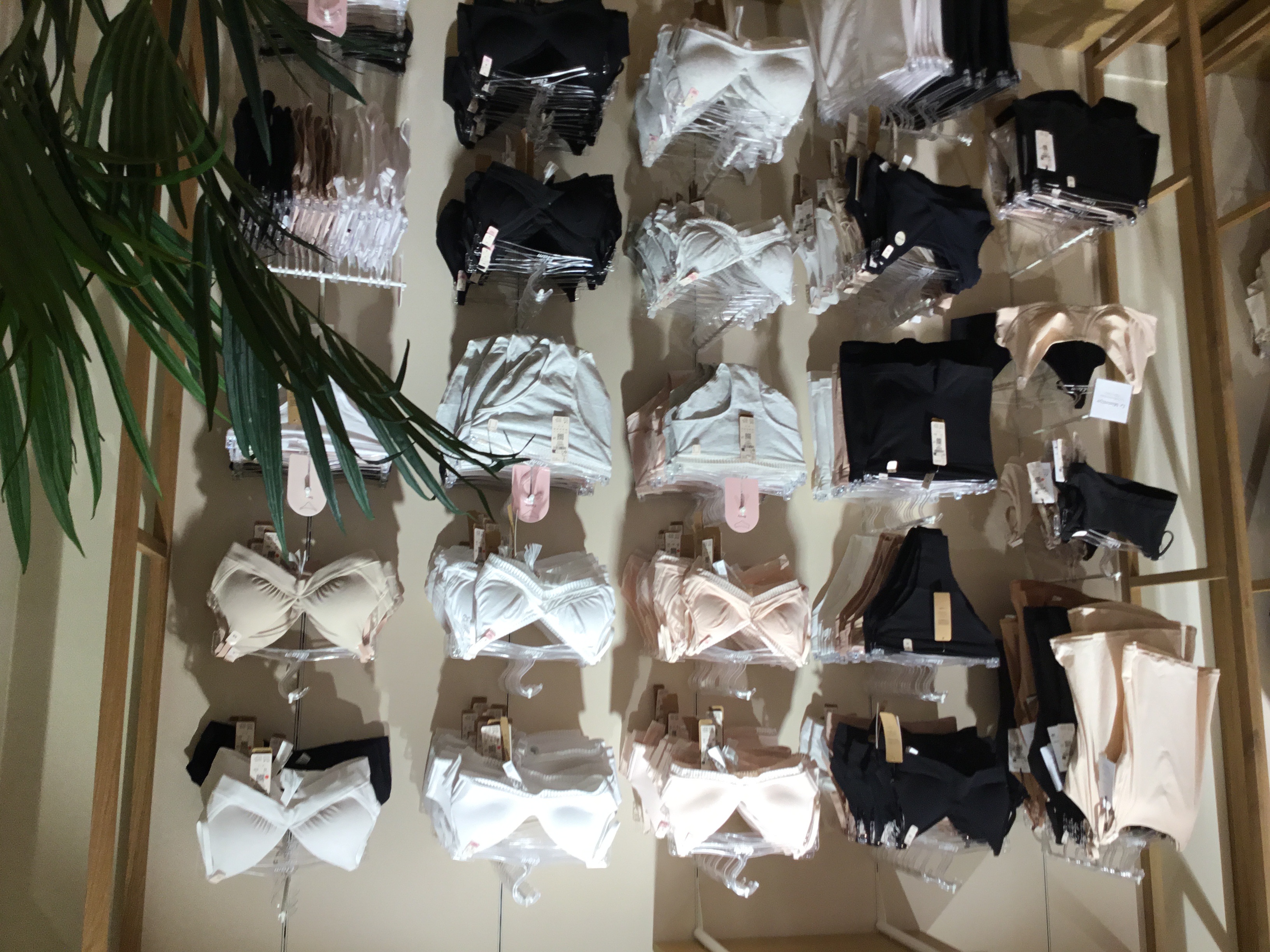 Foto 7 di Etam Lingerie