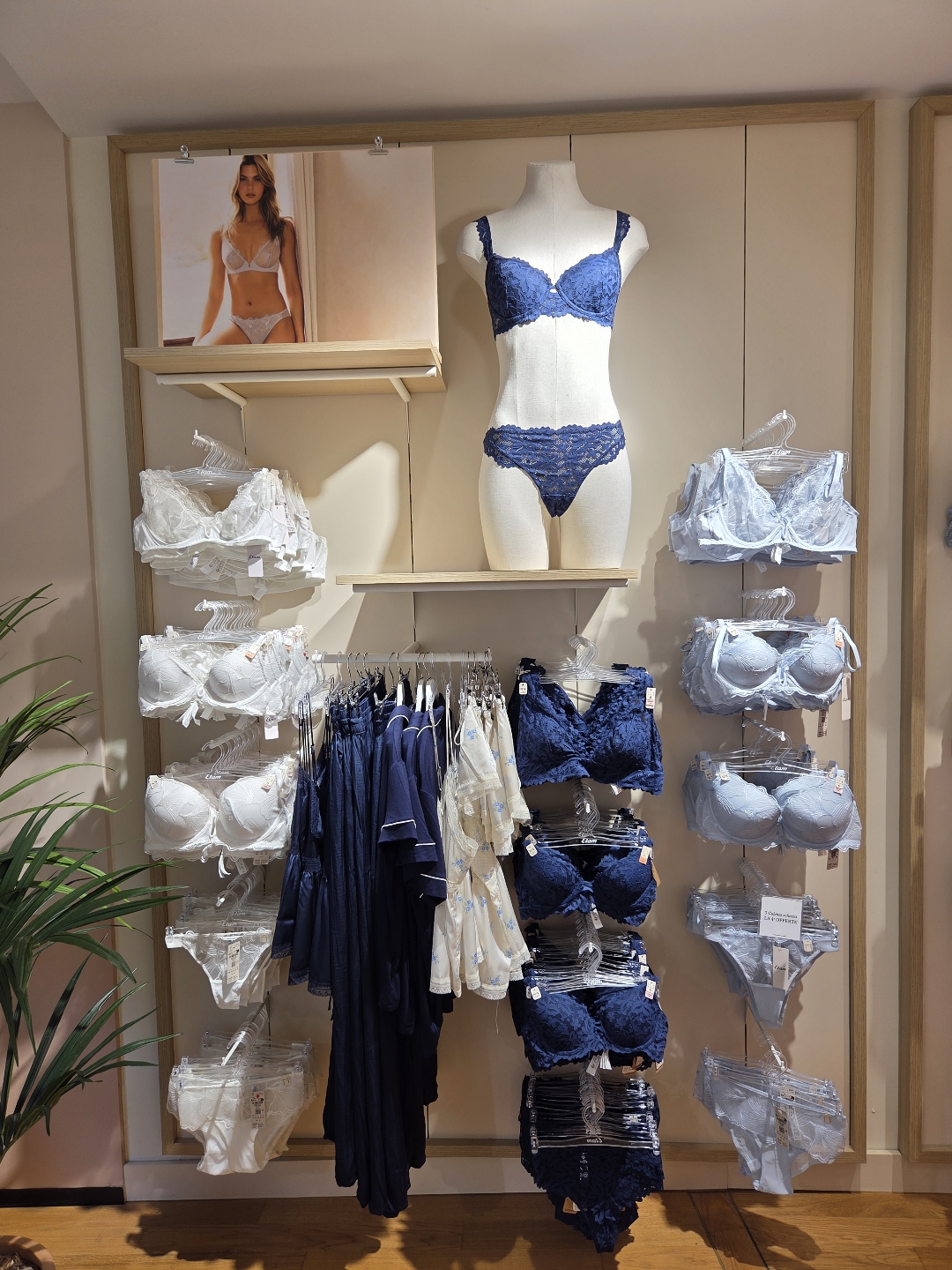 Foto 23 di Etam Lingerie